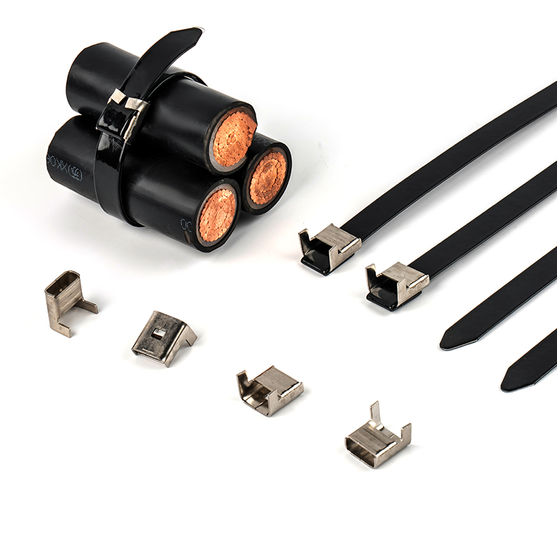 Banda de acero inoxidable recubierta de PPA de 15,9 mm de ancho